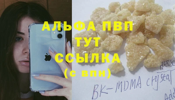 спиды Абаза