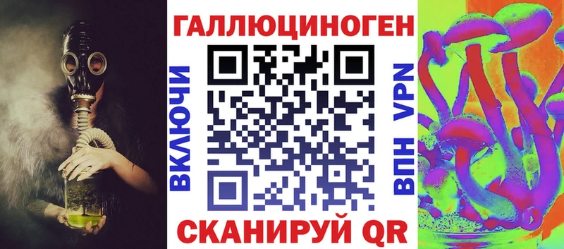 omg ссылка  магазин продажи наркотиков  Шахты  Галлюциногенные грибы Psilocybine cubensis 