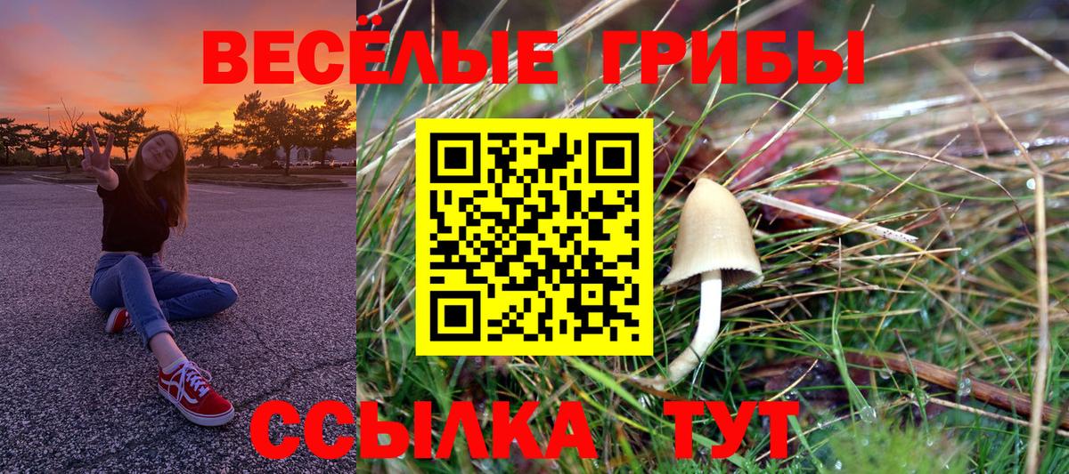 Псилоцибиновые грибы ЛСД  Вход с VPN  цены наркотик  Галлюциногенные грибы MAGIC MUSHROOMS  Шахты 