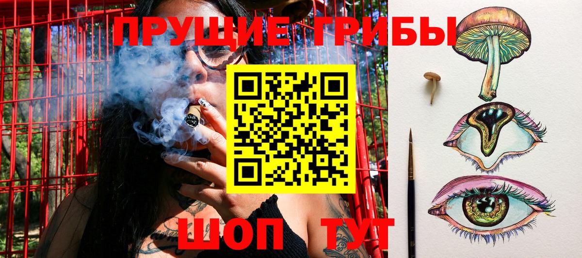 Галлюциногенные грибы мухоморы Шахты