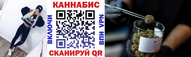 Каннабис индика  Шахты 